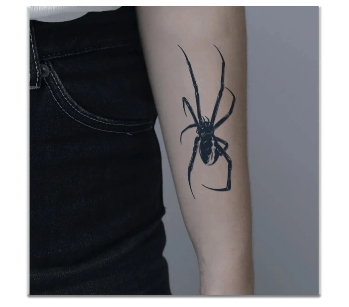 Spider